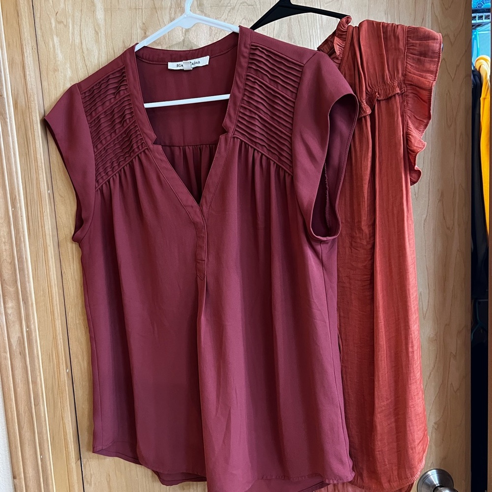 Women's Burnt Orange V-Neck Tops